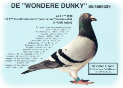 De "WONDERE DUNKY"