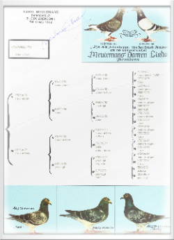Meulemans